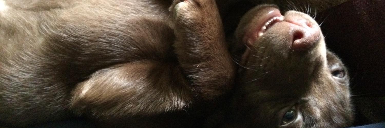 Sleepyy_JM's profile banner image
