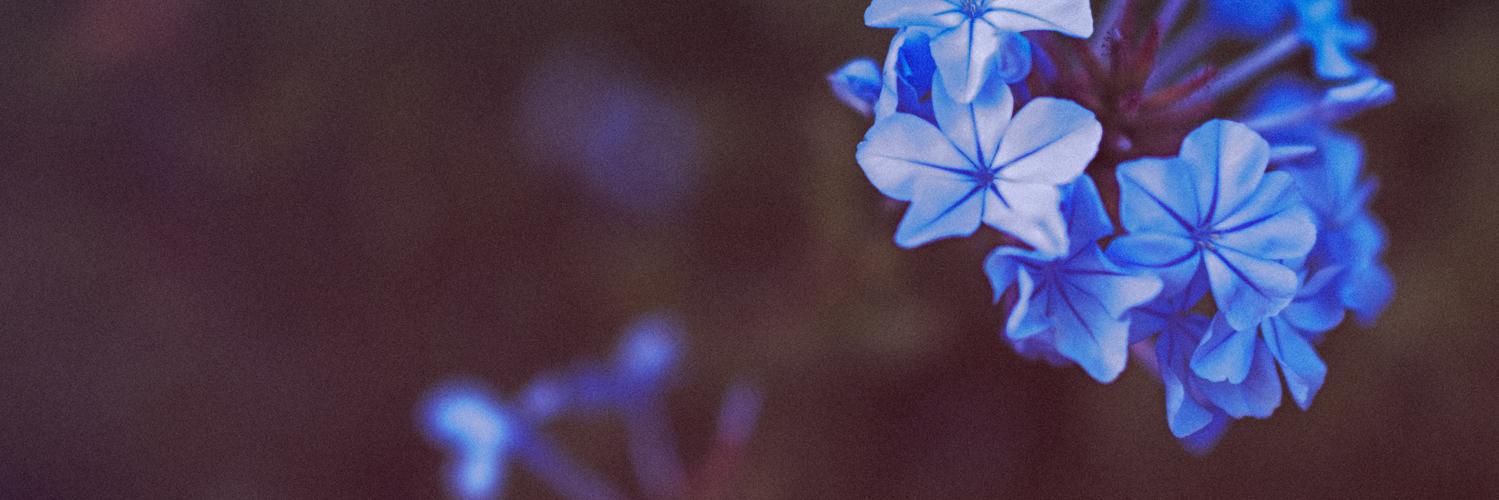 MatiSrv's profile banner image