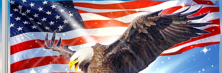 Trollamity's profile banner image