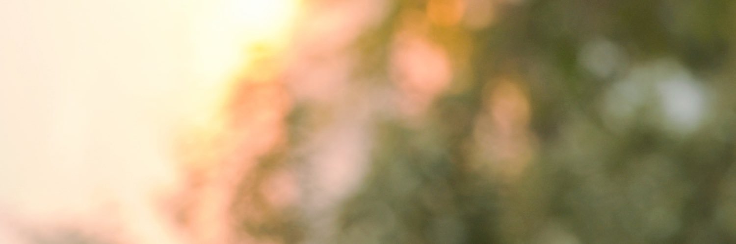 livelaughlovero's profile banner image