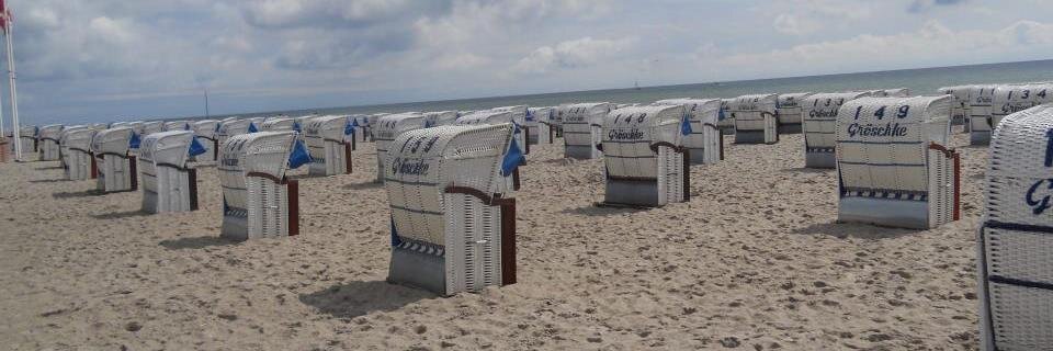 bardackov's profile banner image