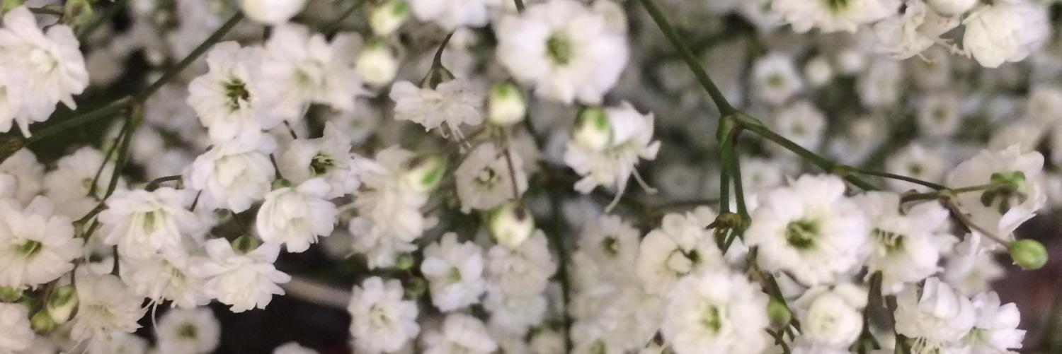 novenine_'s profile banner image