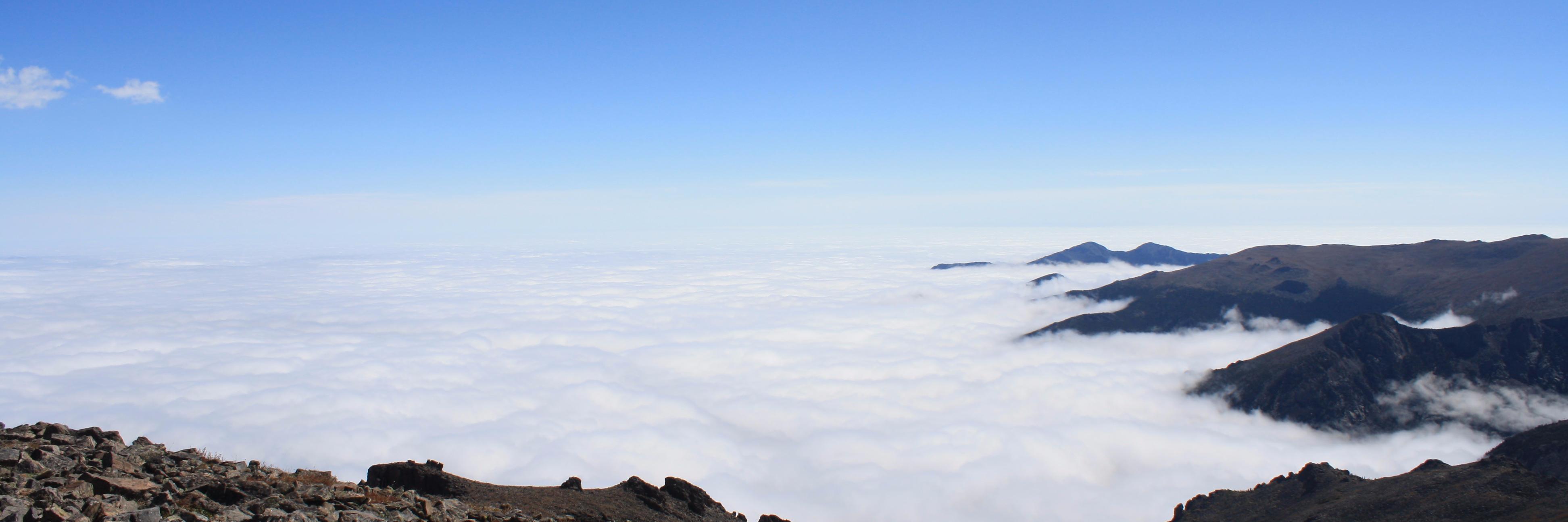 Peteris Spels banner