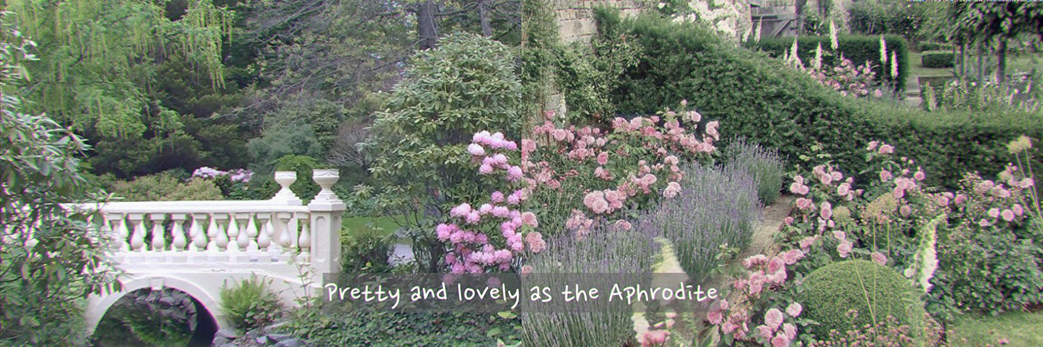 asyeu 🪐 banner