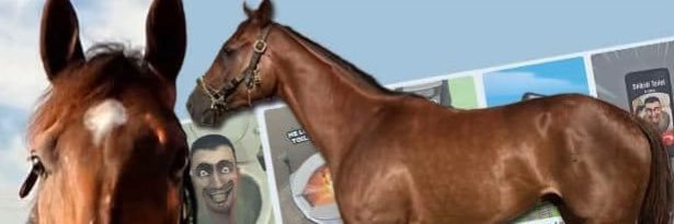 Ultra STAR🔆 banner