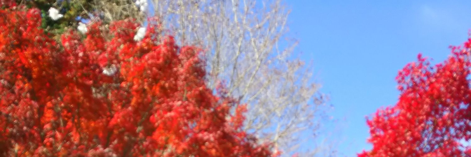 chaneco1972's profile banner image