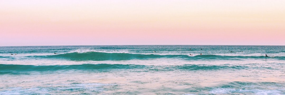 kelly_biele's profile banner image