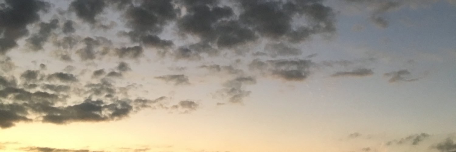 ASerzan's profile banner image