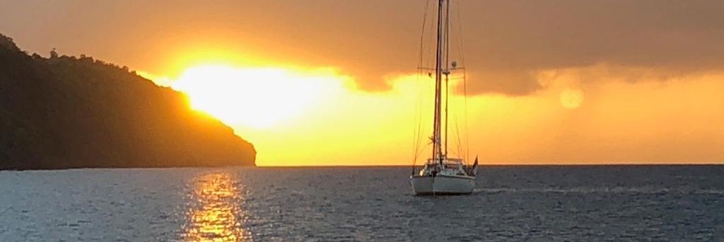 A_Cani's profile banner image