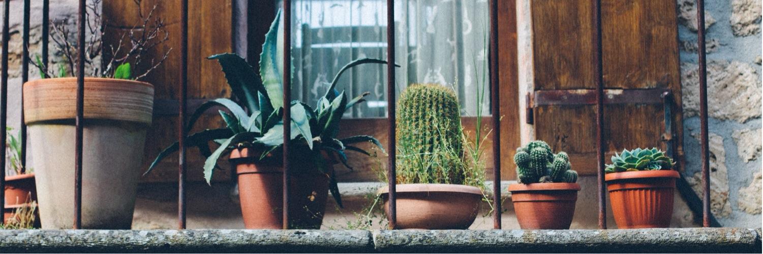 wendymjbrown's profile banner image