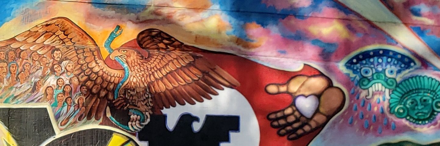 Rosa Olascoaga banner