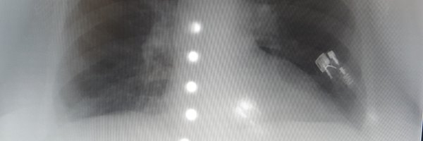 AlisonBajaican Profile Banner