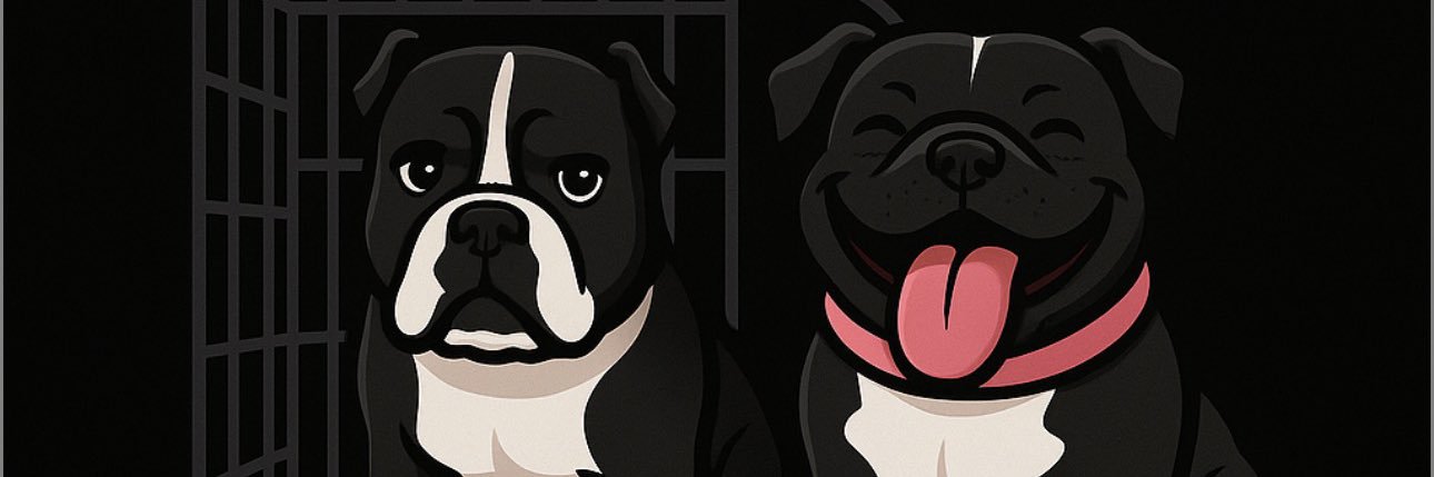 seekingmillions's profile banner image