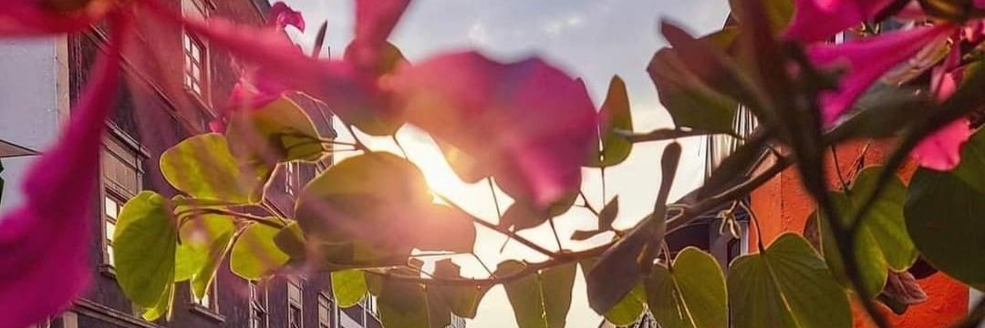 edithaloved15's profile banner image