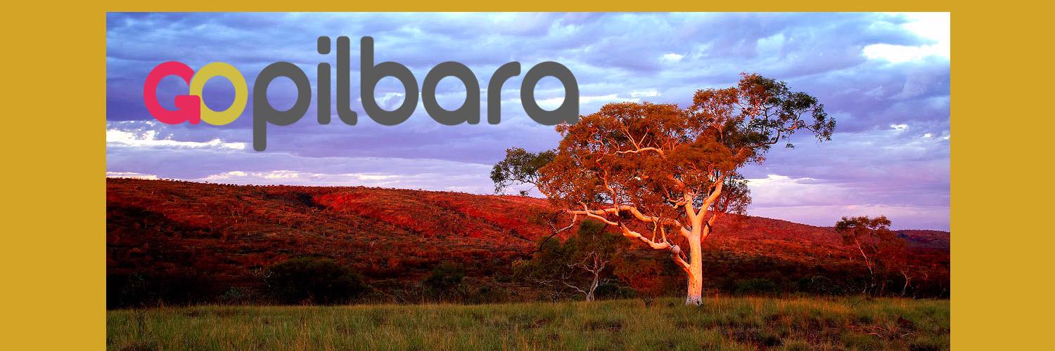 Gopilbaraevents's profile banner image