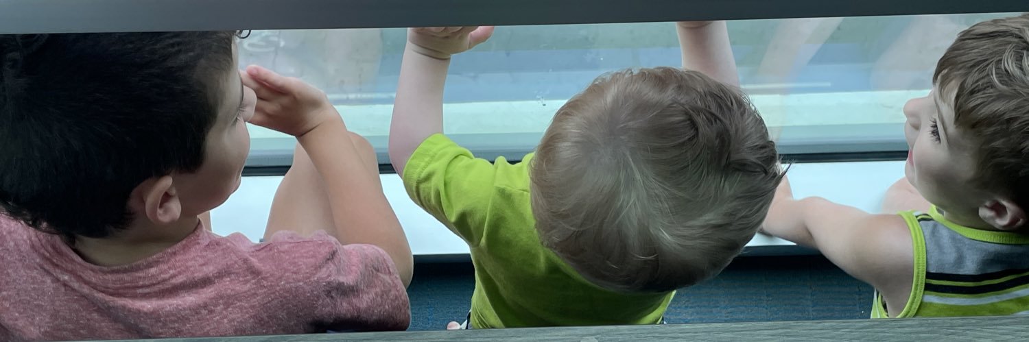 mrsdennisonLCM's profile banner image