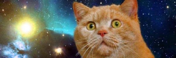 kanimisoex's profile banner image