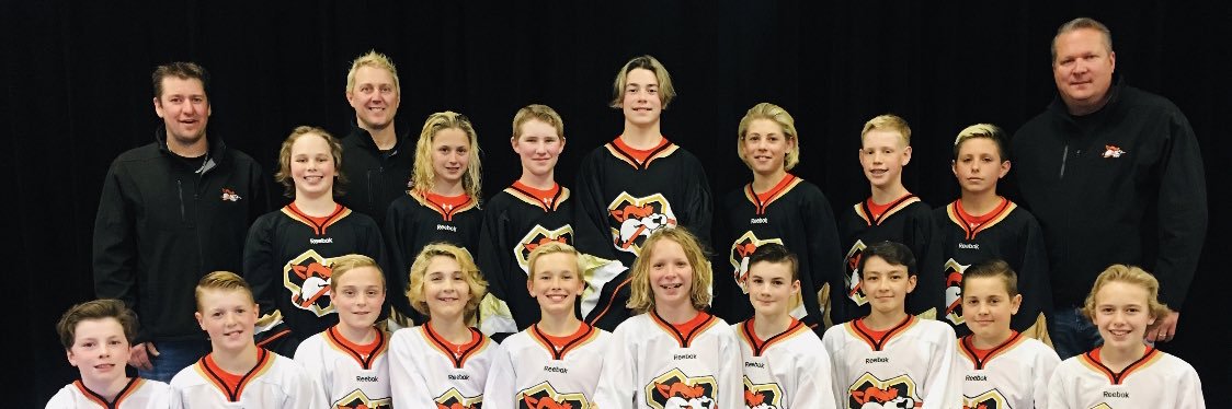 Lethbridge Wolfpack banner