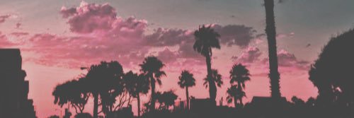 no. banner