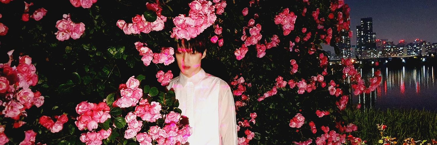wonhobi_'s profile banner image