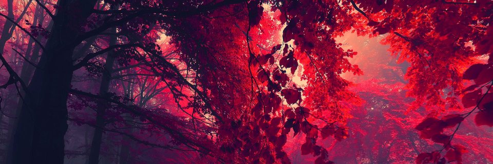 IvanGraves7's profile banner image