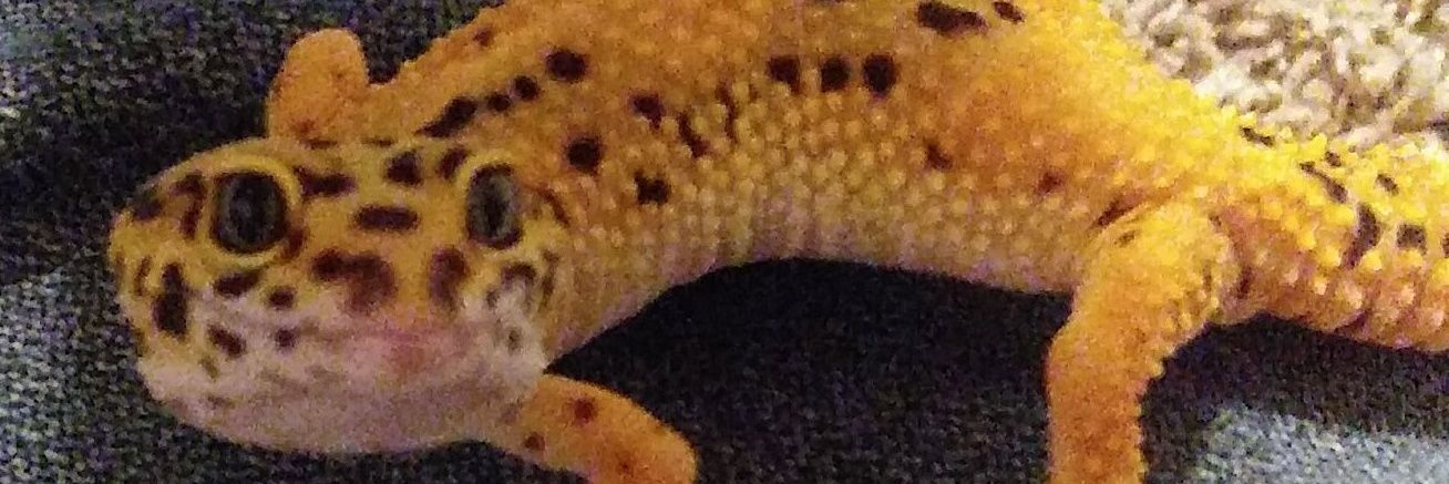 richiewmm99's profile banner image