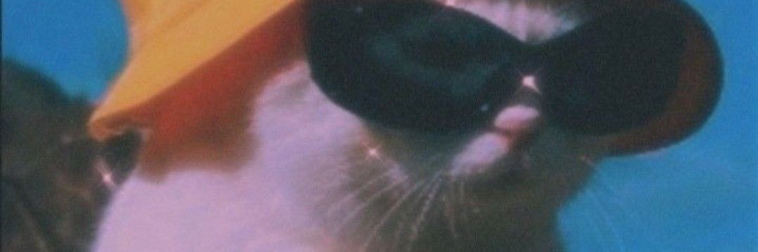 euanny321_'s profile banner image
