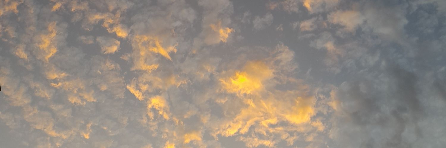 _AlaneMaia's profile banner image