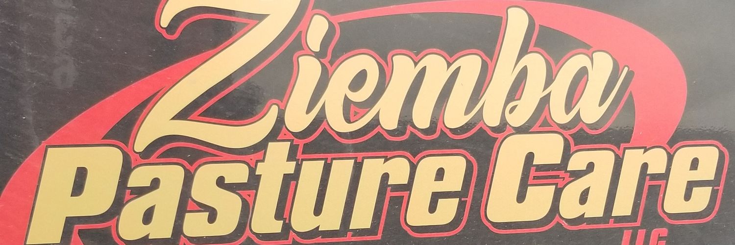 ziembadan's profile banner image