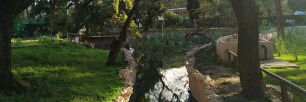 SebaPinto88 Profile Banner