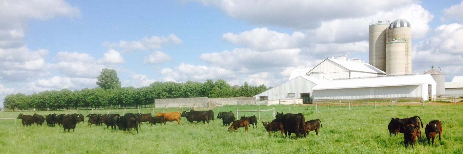 Alstein Farms banner