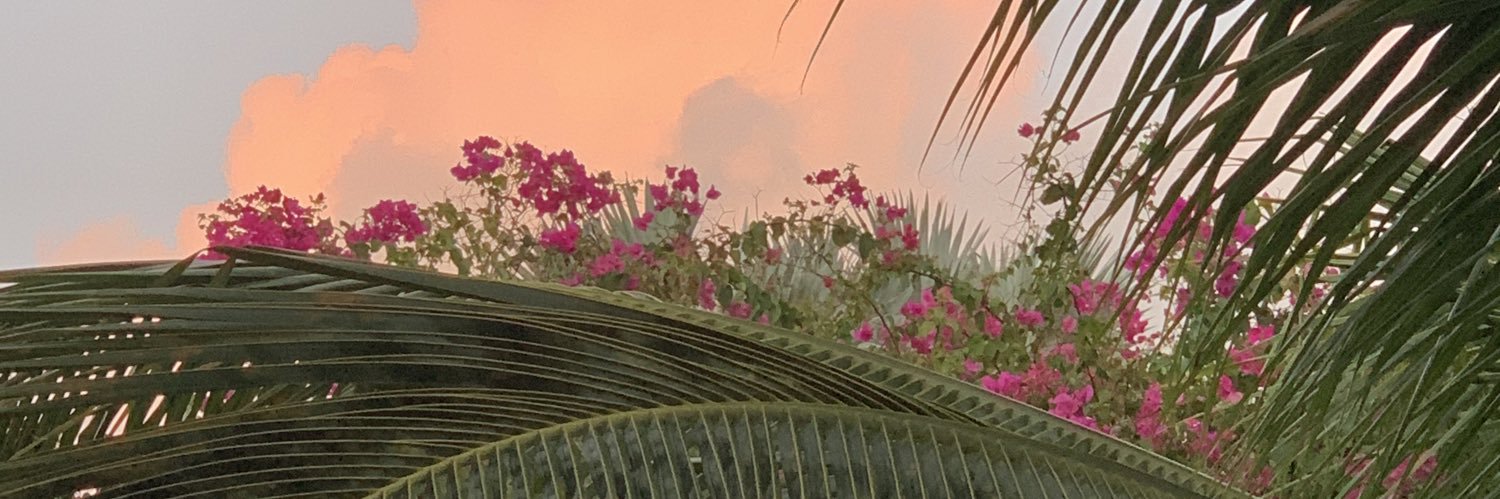 valemarria's profile banner image