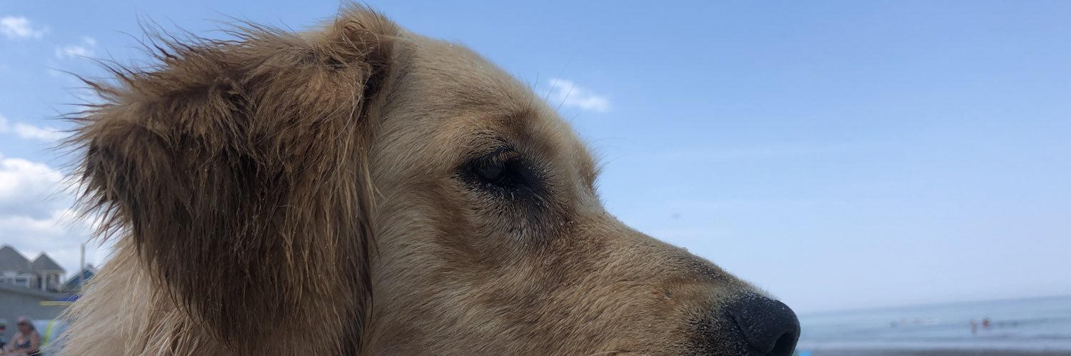 chlodysimpson's profile banner image