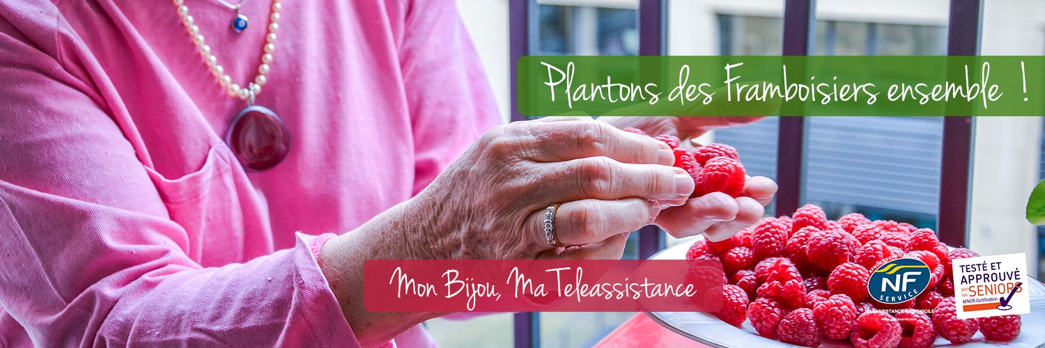 La Framboise Connectée banner