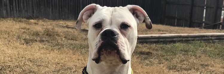 ogmikeb20's profile banner image