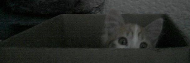 AranxaF's profile banner image