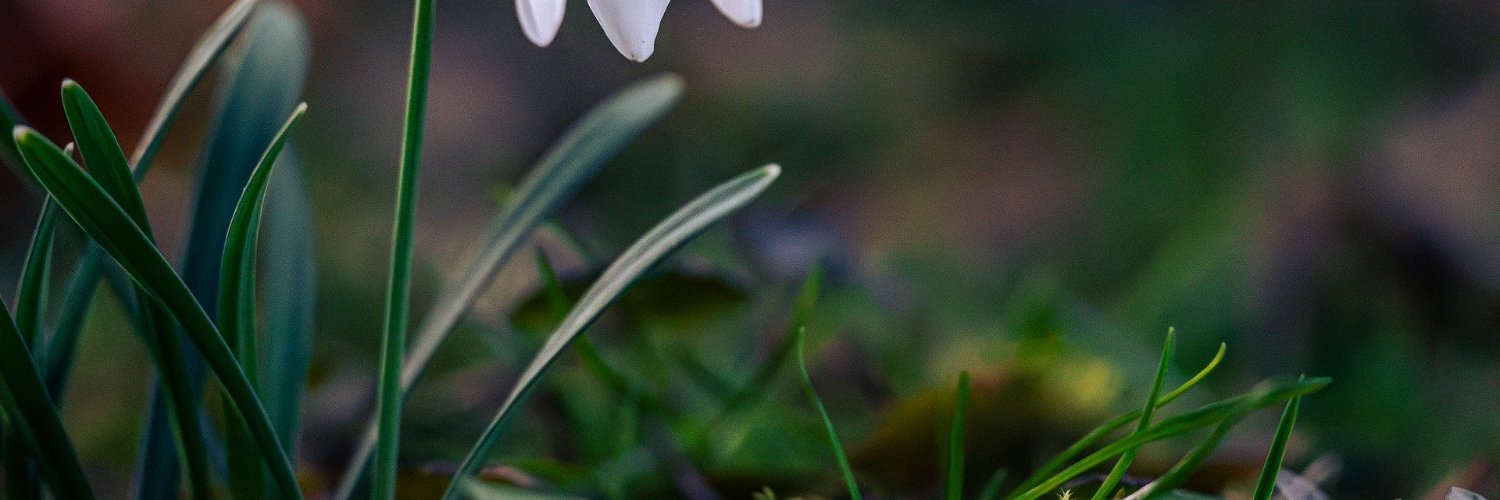 chops2222's profile banner image
