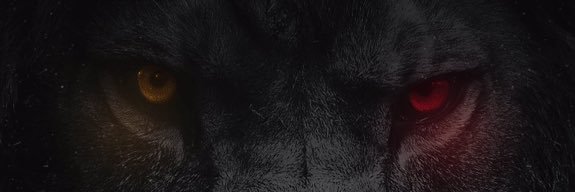 ebibilal's profile banner image