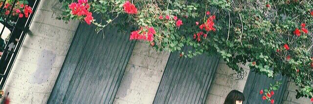 kichi_EMI's profile banner image