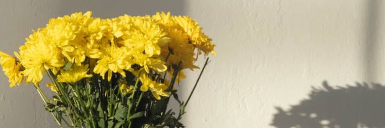 Ms_Zylstra's profile banner image