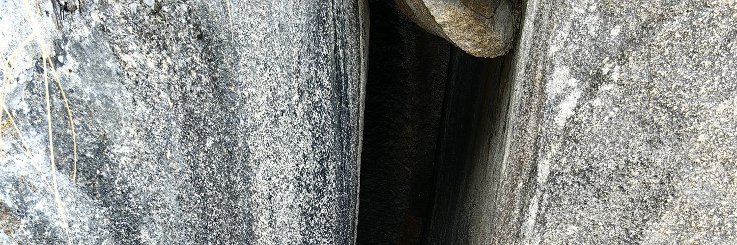 littlefuckbug's profile banner image