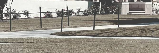 solace banner