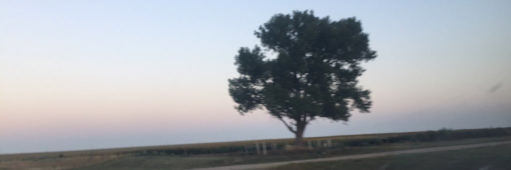 johnathonwill65's profile banner image
