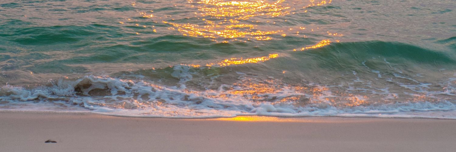 PallaMohanmanoj's profile banner image