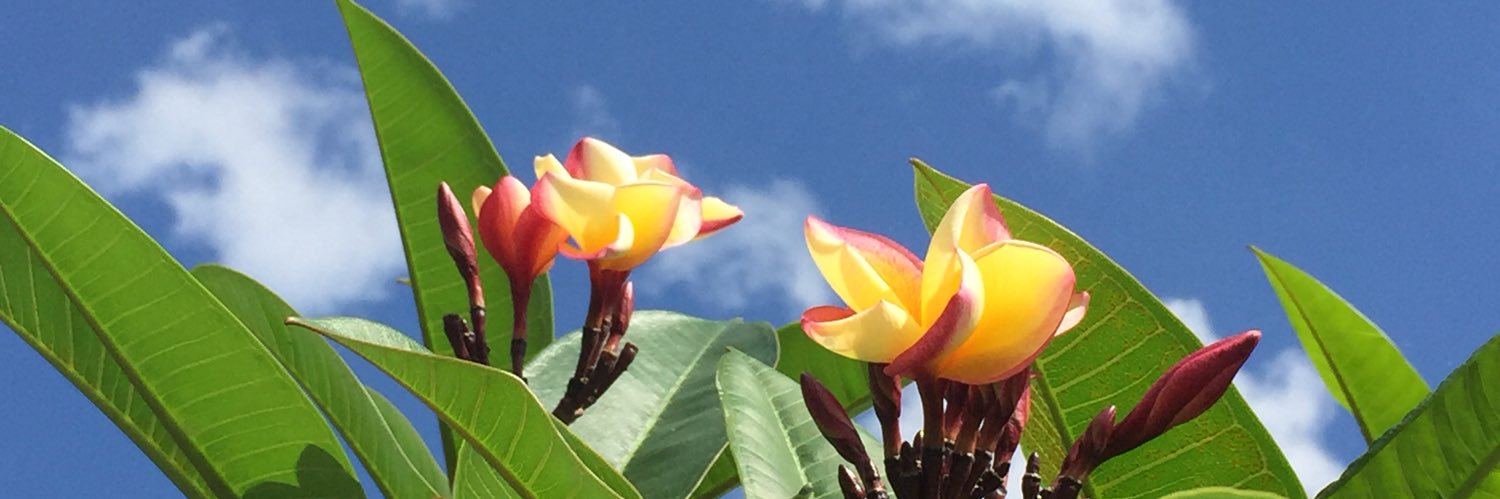 DineshdBar's profile banner image