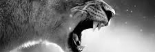 Bam_Jenks's profile banner image