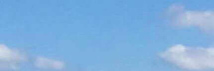 RoseHowe1's profile banner image