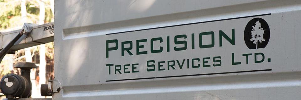 precision__tree's profile banner image