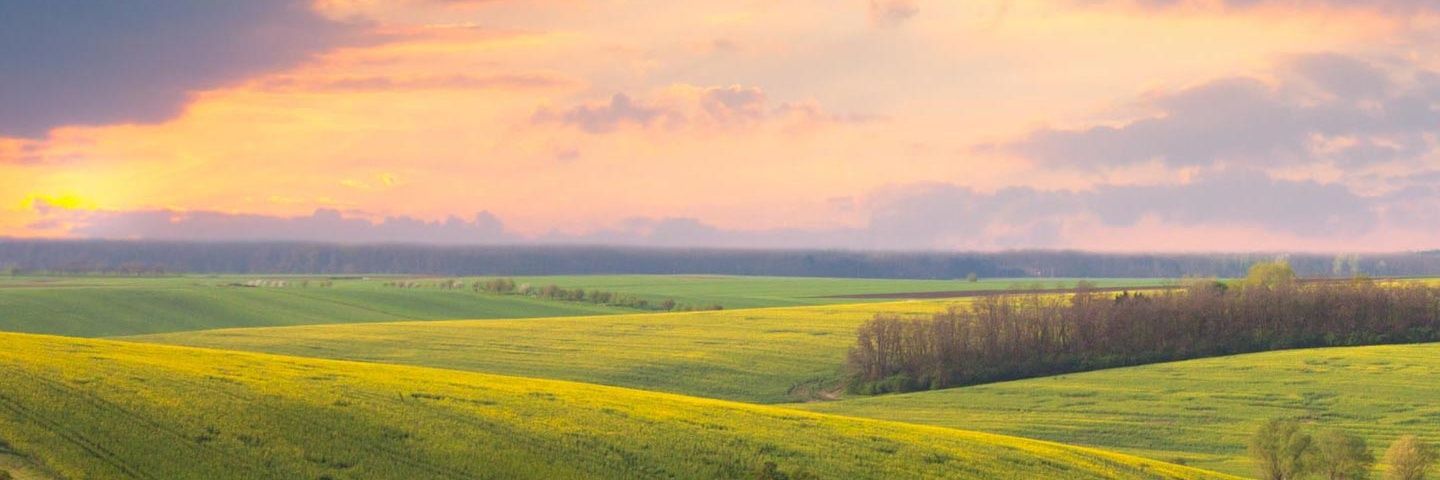 Litalarad's profile banner image