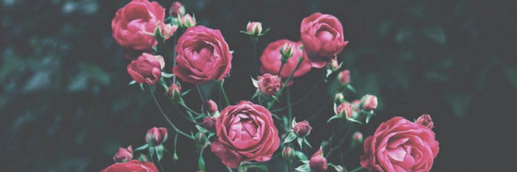 myraajass's profile banner image